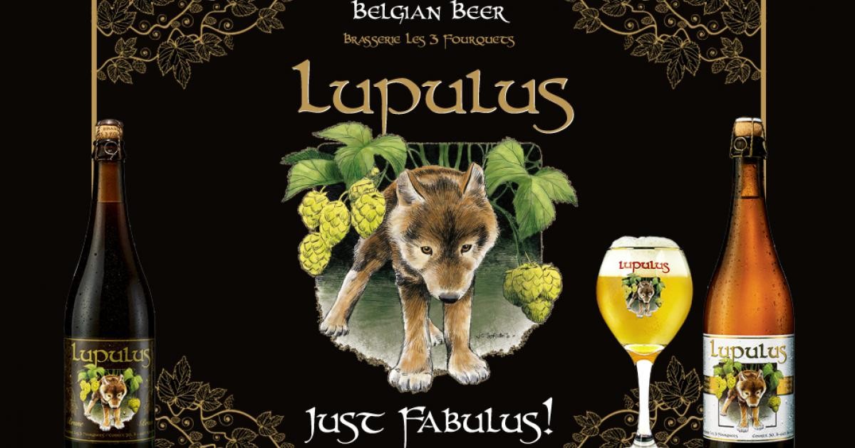 Coffret cadeau bière Lupulus + 2 verres original